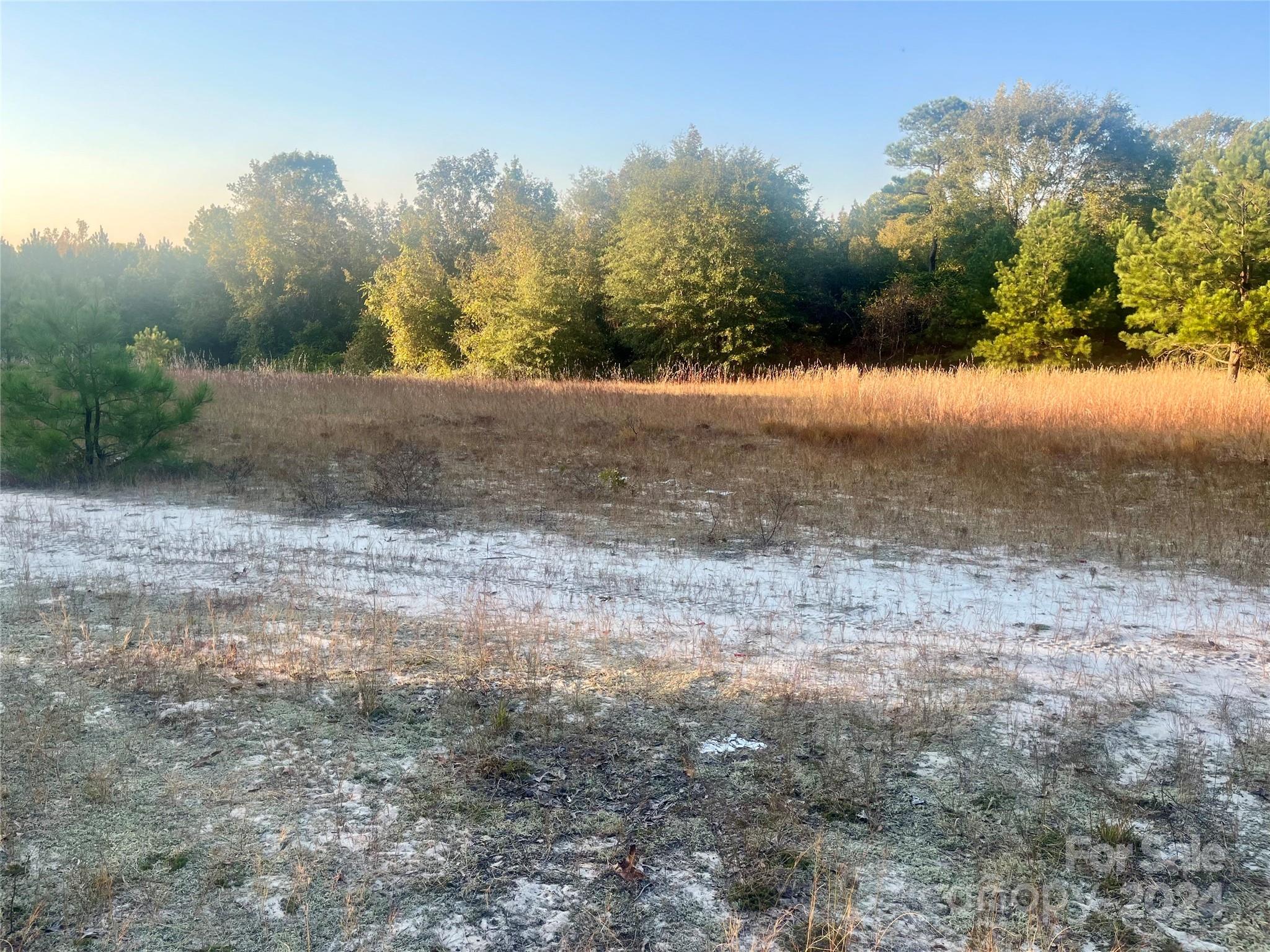 1097 Pine Road Jefferson, SC 29718 - Photo 7 of 8