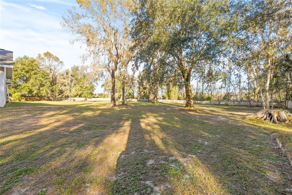 31445 Amberlea Road Dade City, FL 33523 - Photo 17 of 52