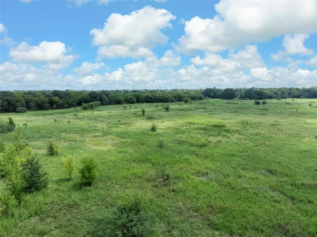 a view of an outdoor space and a yard