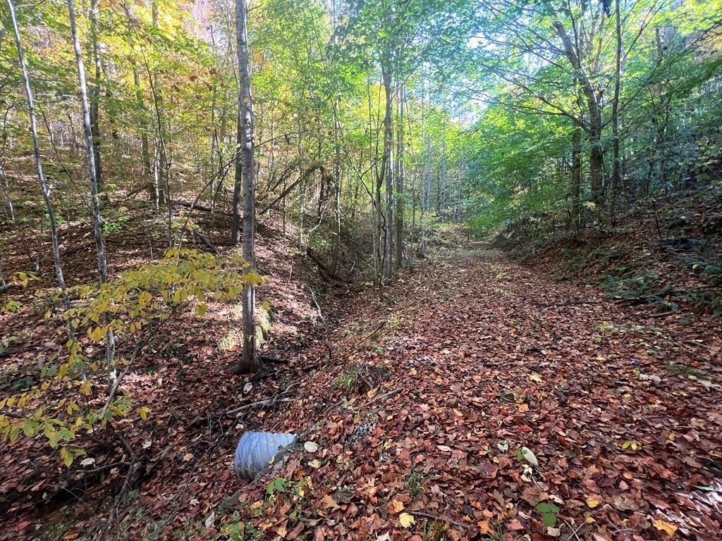0 Manning Hollow Road Sevierville, TN 37876 - Photo 10 of 14