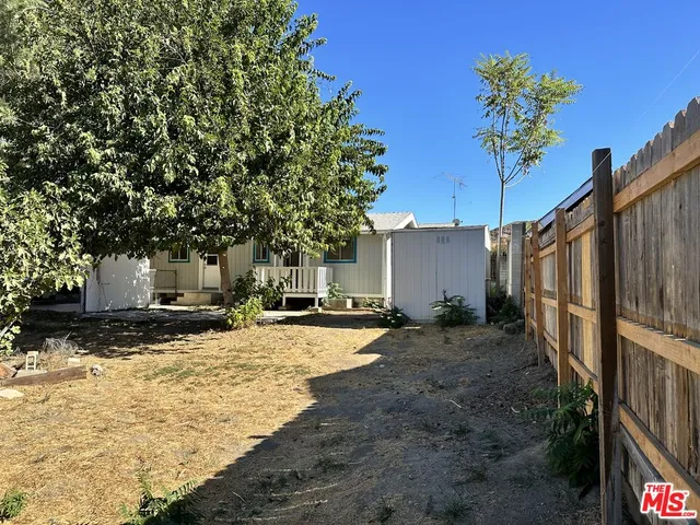a view of a tree with snow on the road