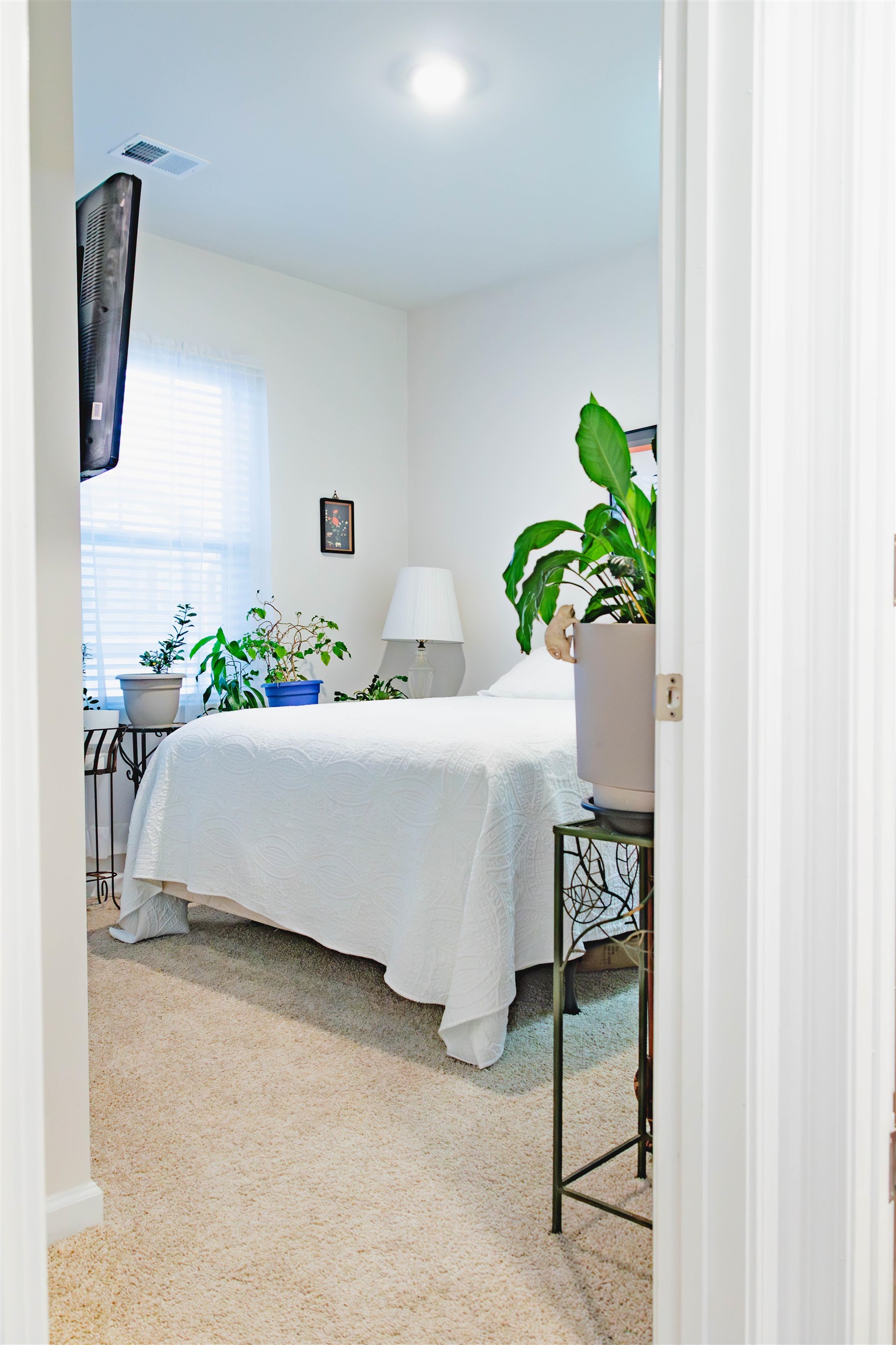 305 Bonifay Drive Fountain Inn, SC 29644 - Photo 5 of 29