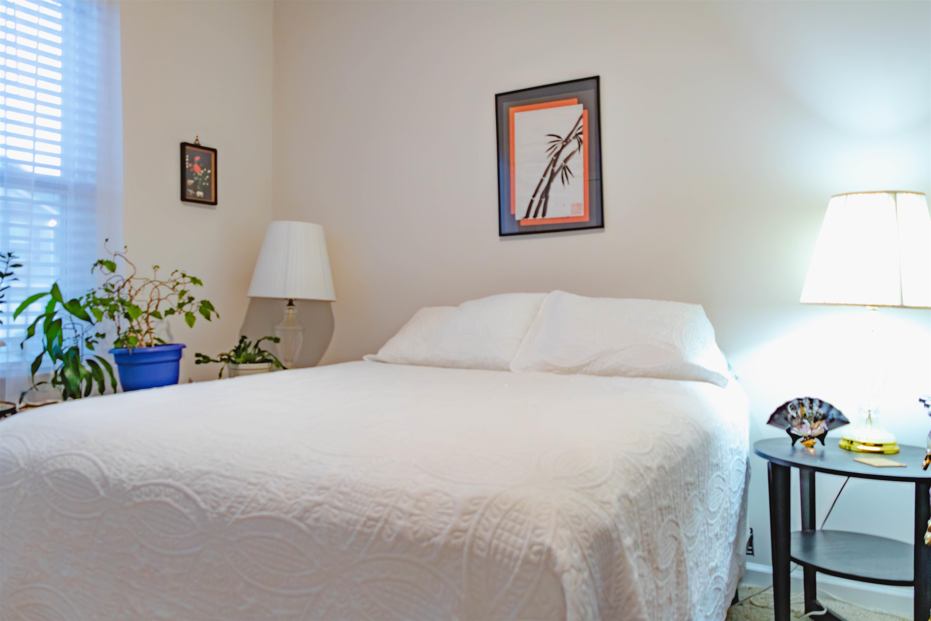 305 Bonifay Drive Fountain Inn, SC 29644 - Photo 6 of 29