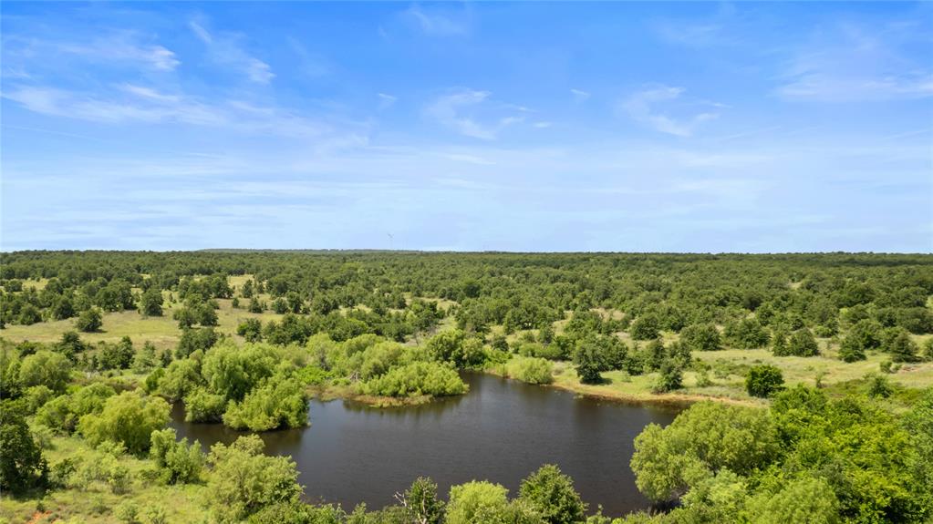 Tbd Berry Dairy Road Bryson, TX 76427 - Photo 21 of 39