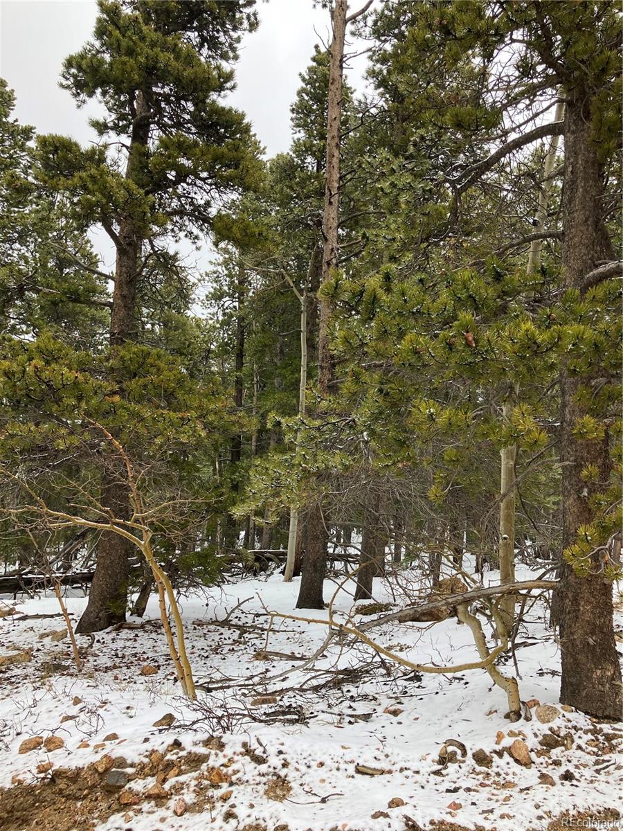 120 Timber Road Black Hawk, CO 80422 - Photo 3 of 4 Gallery Image 3