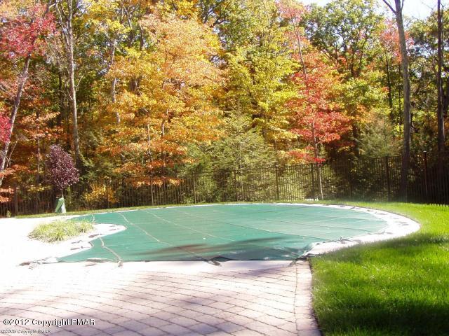 131 Williams Road Cresco, PA 18326 - Photo 16 of 20 swimming pool 2
