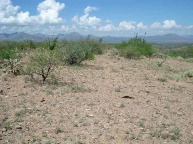 57 Camino Nacozari Rio Rico, AZ 85648 - Photo 3 of 9