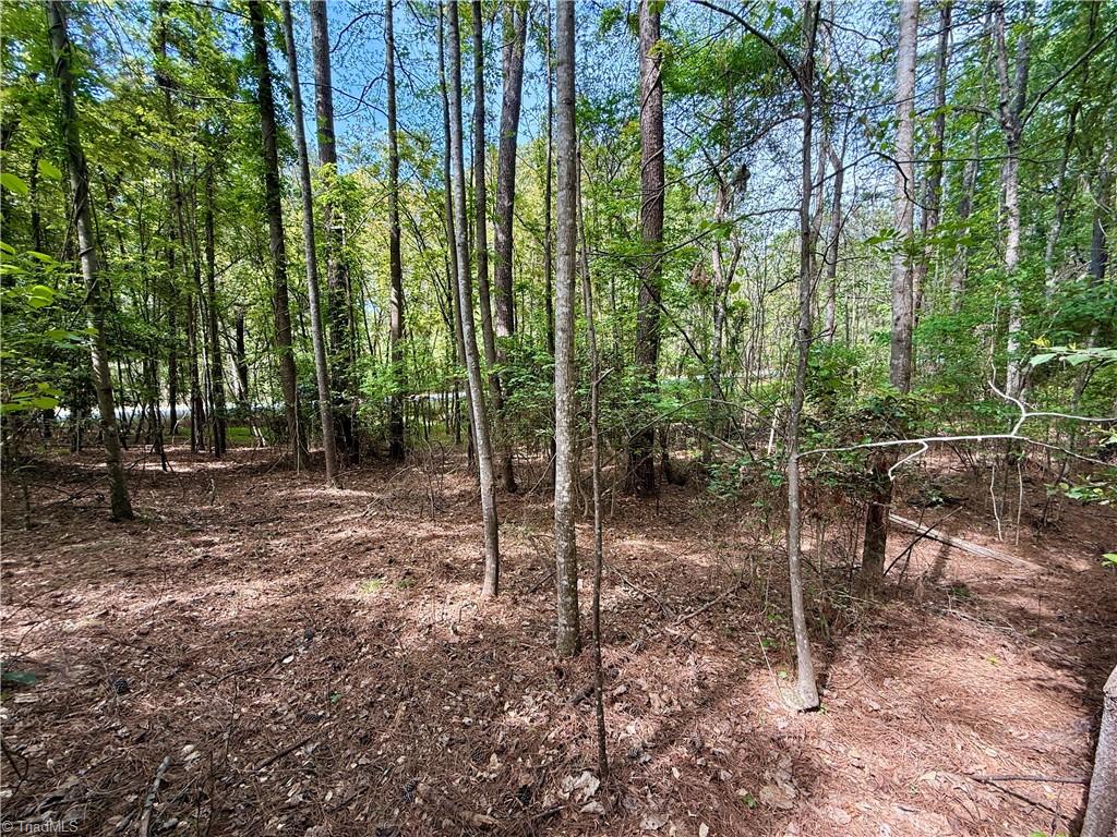 161 Greens Road Granite Falls, NC 28630 - Photo 11 of 38