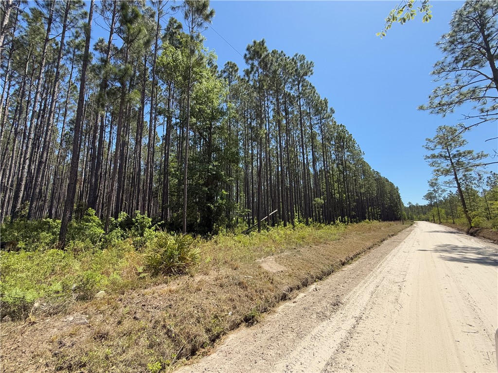 8.84 Strickland Road Waycross, GA 31503 - Photo 11 of 15