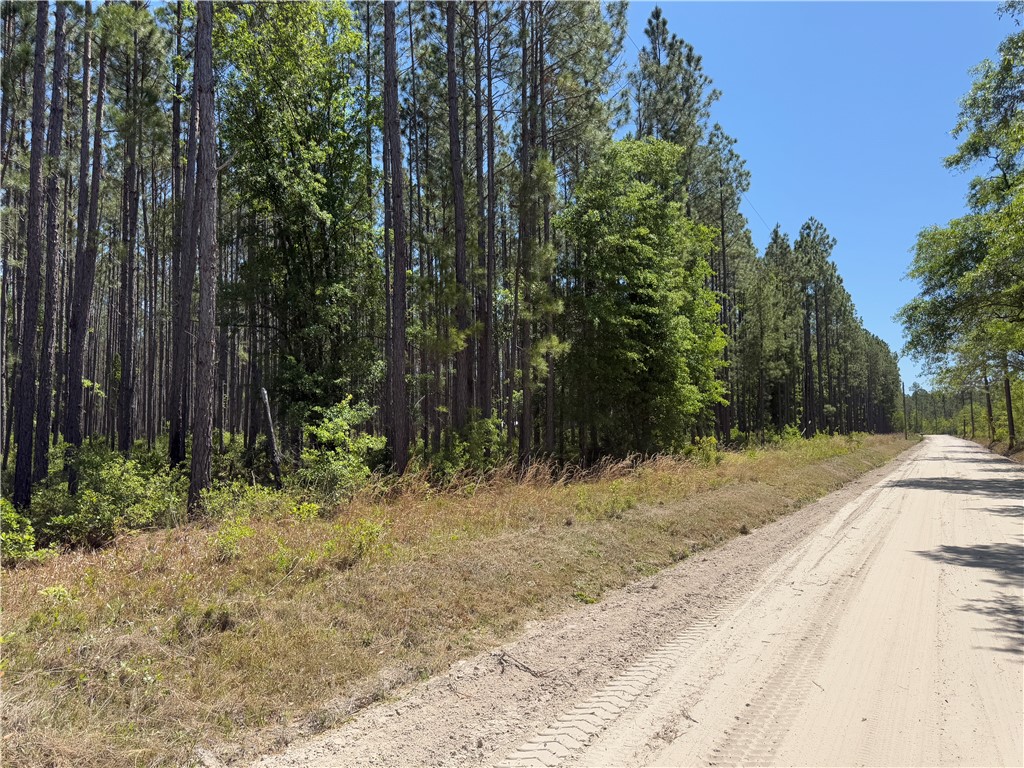 8.84 Strickland Road Waycross, GA 31503 - Photo 12 of 15