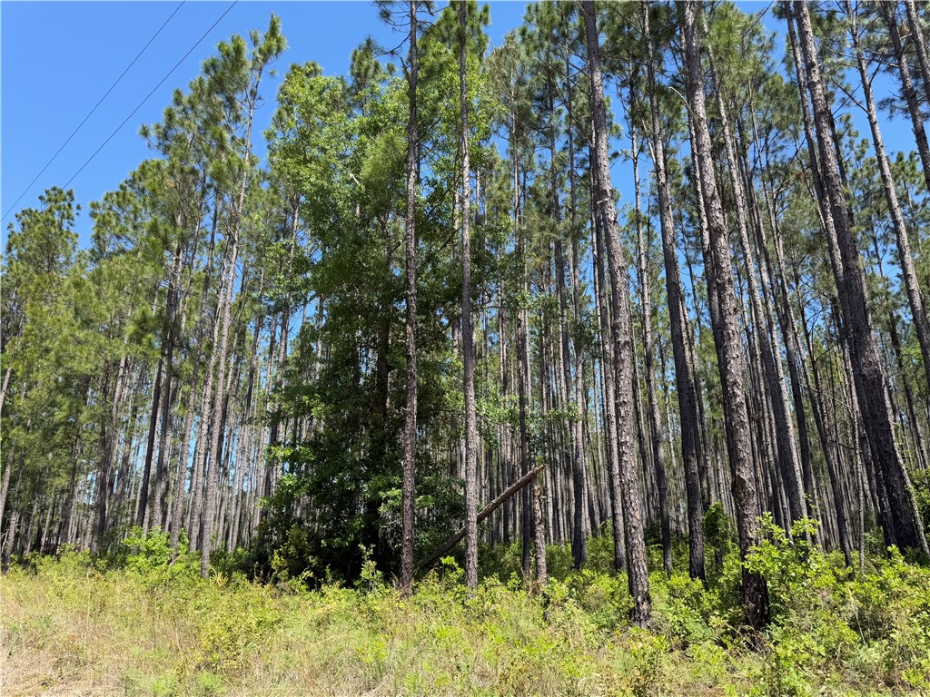 8.84 Strickland Road Waycross, GA 31503 - Photo 5 of 15