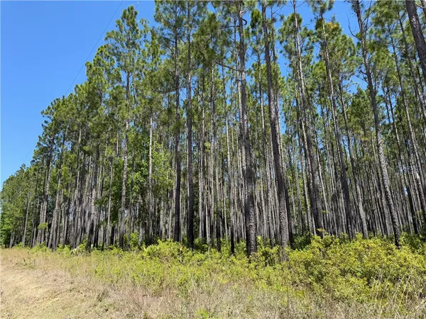 $99,950 | 8.84 Strickland Road, Waycross, GA 31503