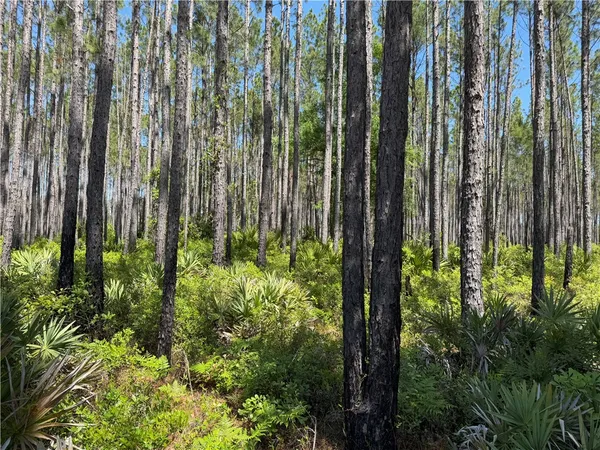 $99,950 | 8.84 Strickland Road, Waycross, GA 31503