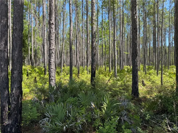 $99,950 | 8.84 Strickland Road, Waycross, GA 31503