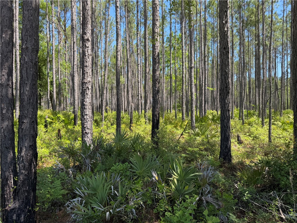 8.84 Strickland Road Waycross, GA 31503 - Photo 9 of 15