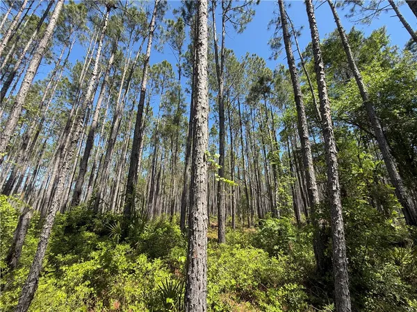 $99,950 | 8.84 Strickland Road, Waycross, GA 31503