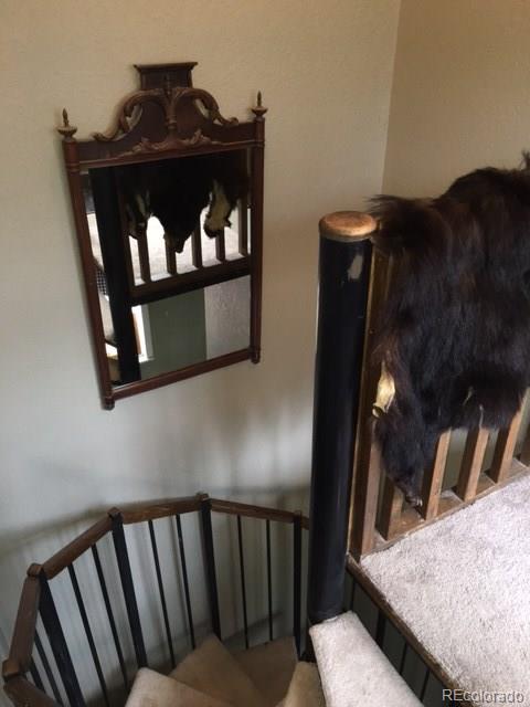 141 Holmes Gulch Road Bailey, CO 80421 - Photo 14 of 16 Gallery Image 14