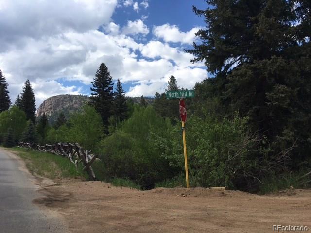141 Holmes Gulch Road Bailey, CO 80421 - Photo 15 of 16 Gallery Image 15