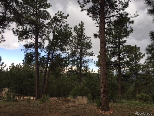 141 Holmes Gulch Road Bailey, CO 80421 - Photo 3 of 16 Gallery Image 3