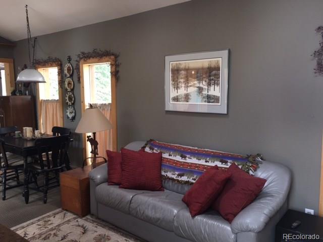 141 Holmes Gulch Road Bailey, CO 80421 - Photo 5 of 16 Gallery Image 5