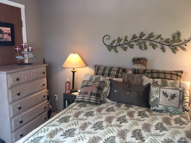 141 Holmes Gulch Road Bailey, CO 80421 - Photo 8 of 16 Gallery Image 8