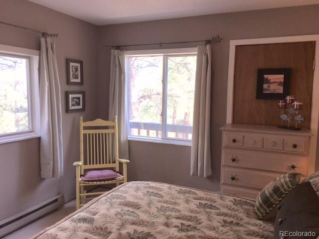 141 Holmes Gulch Road Bailey, CO 80421 - Photo 9 of 16 Gallery Image 9