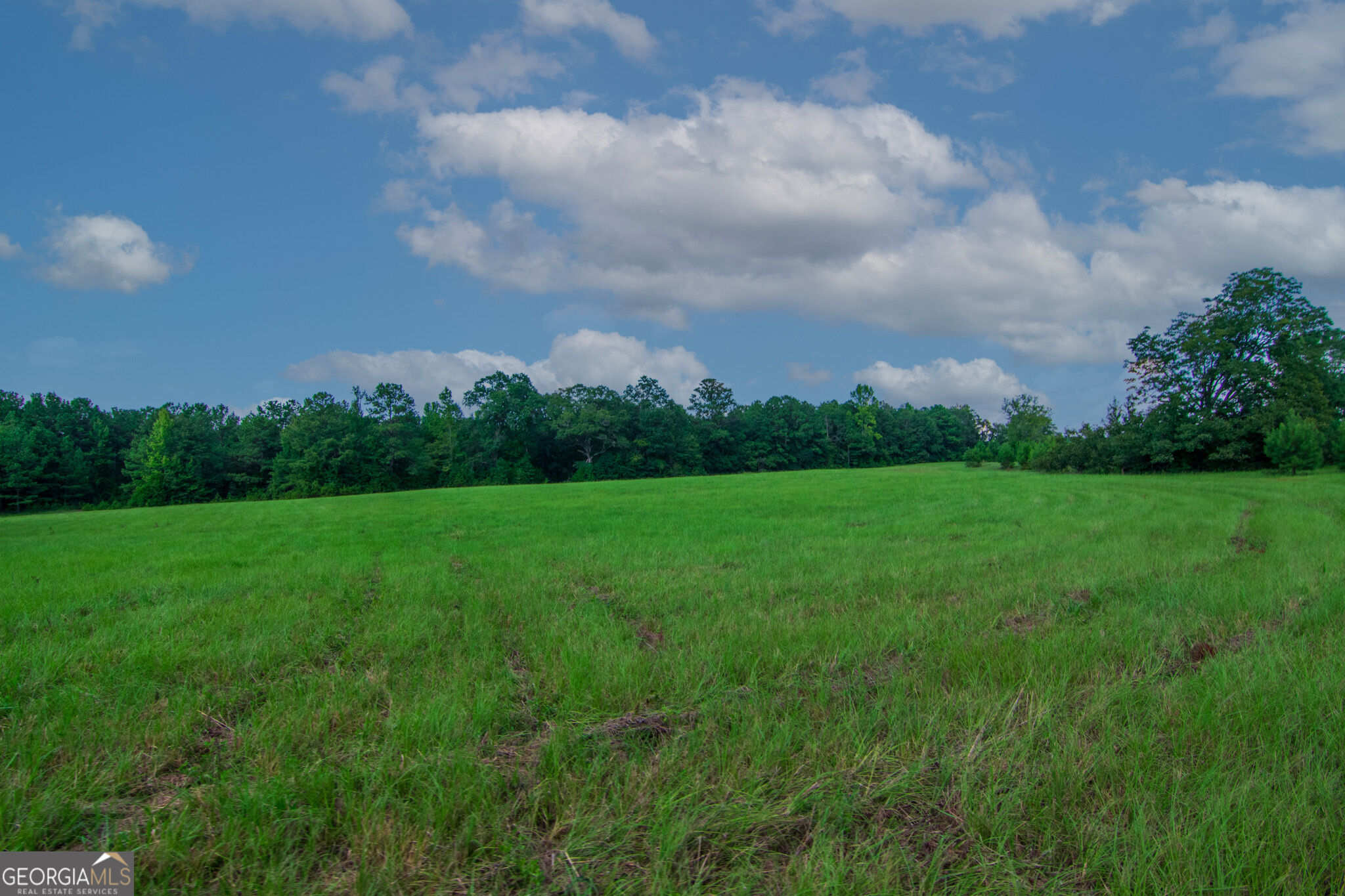 616 Twin Lakes Road Waverly Hall, GA 31831 - Photo 53 of 98 Gallery Image 53