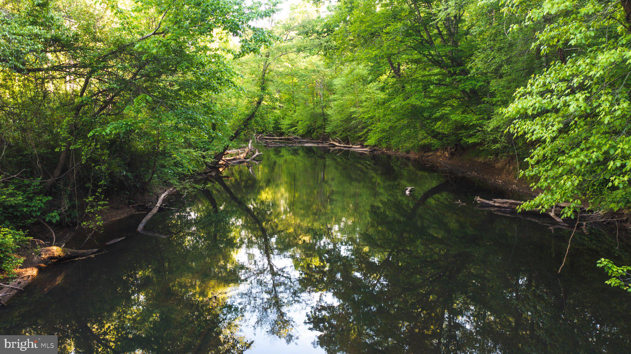 0 Harts Mill Road Mineral, VA 23117 - Photo 7 of 69 Tranquil river embraced by lush greens.