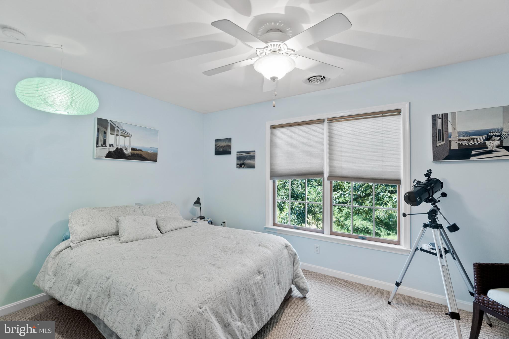 6548 Eldorado Road Federalsburg, MD 21632 - Photo 17 of 39 Gallery Image 17