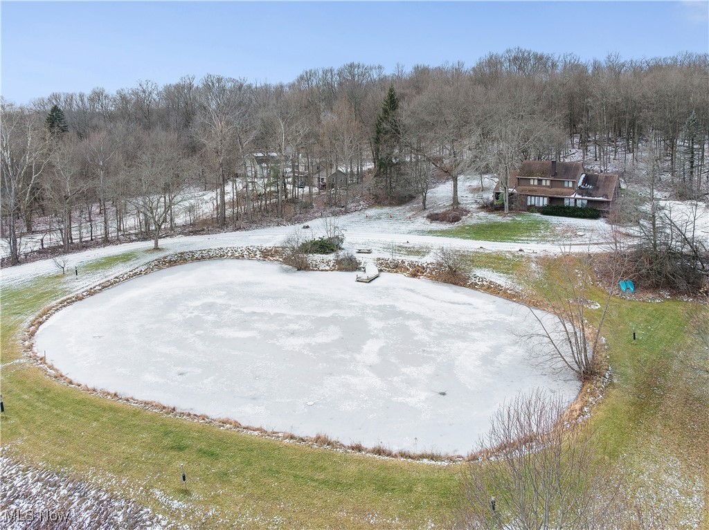 7014 River Styx Road Medina, OH 44256 - Photo 42 of 49 View of yard covered in snow