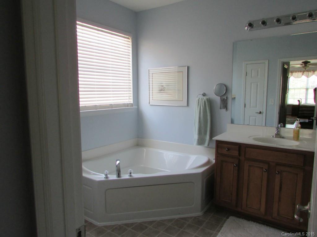 769 Platinum Drive Fort Mill, SC 29708 - Photo 18 of 19 a bathroom with a bathtub and a sink