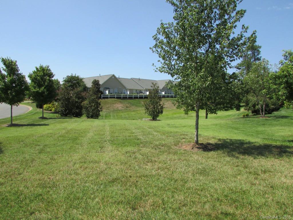 769 Platinum Drive Fort Mill, SC 29708 - Photo 3 of 19 a view of a garden with a tree