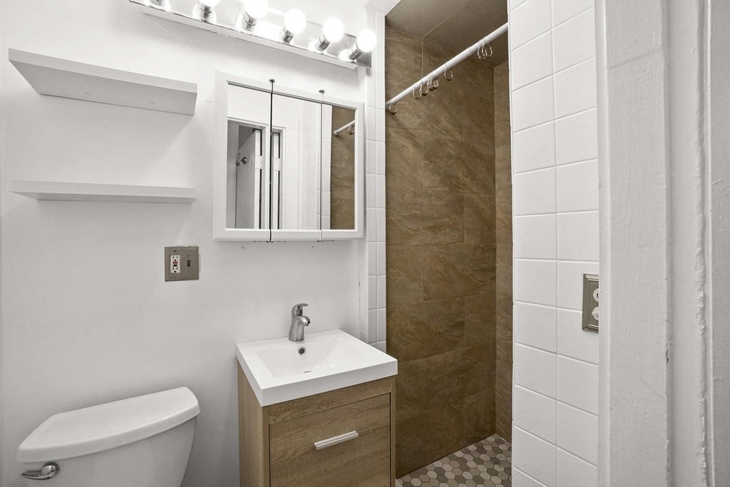 6 Dwight Street, Unit 1 Boston, MA 02118 - Photo 7 of 20 a bathroom with a toilet a sink and shower