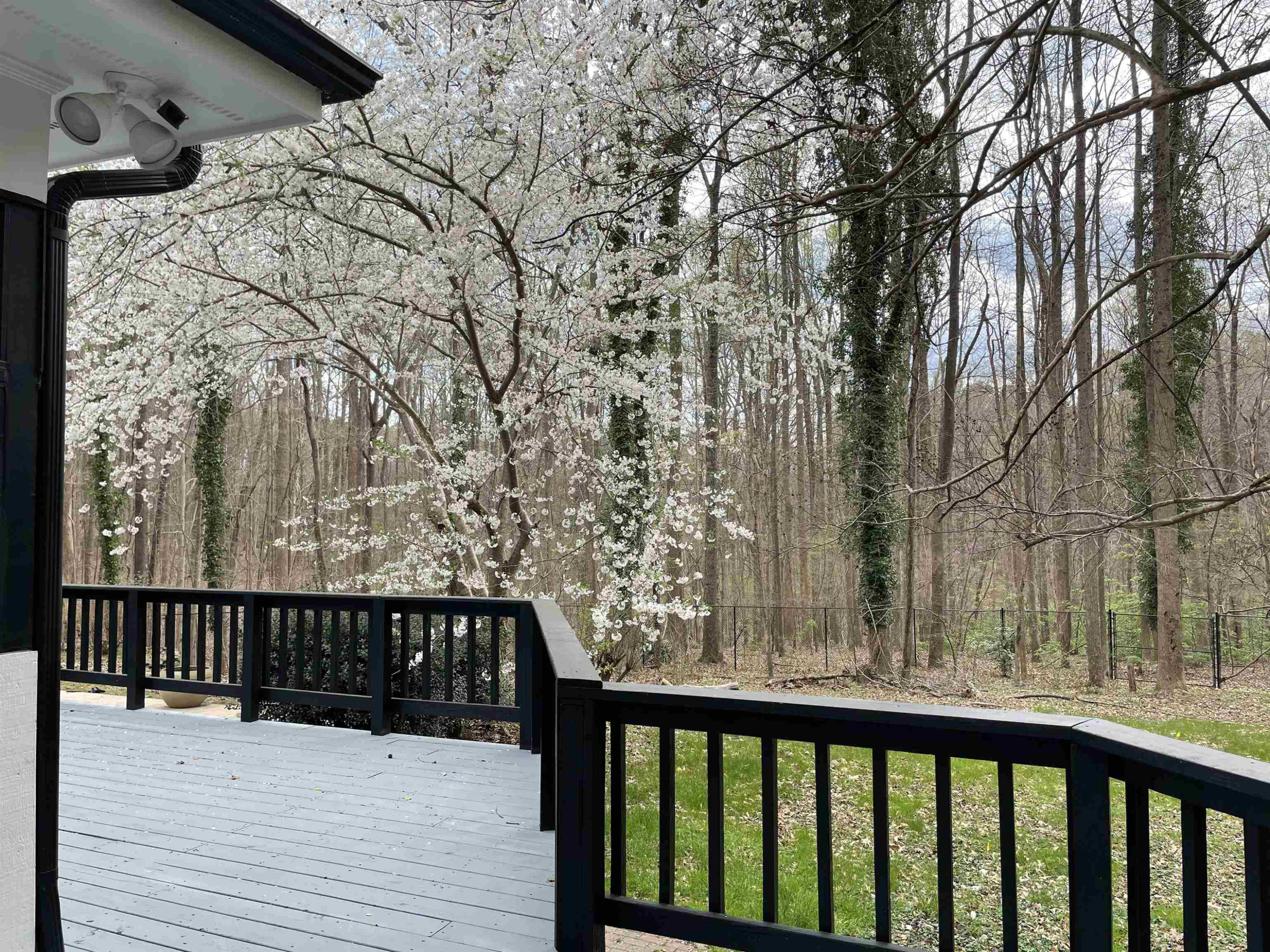 5335 Russell Road Durham, NC 27712 - Photo 18 of 33 Photo 18