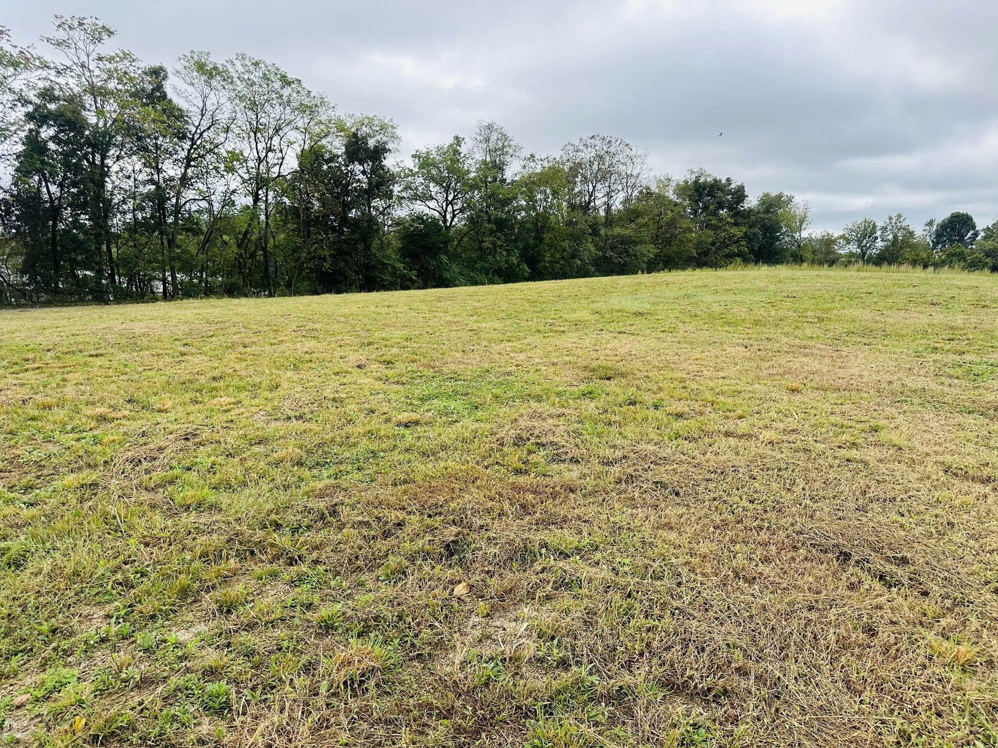7 Annie Hollow Road Westmoreland, TN 37186 - Photo 2 of 6 a view of a field with an ocean view