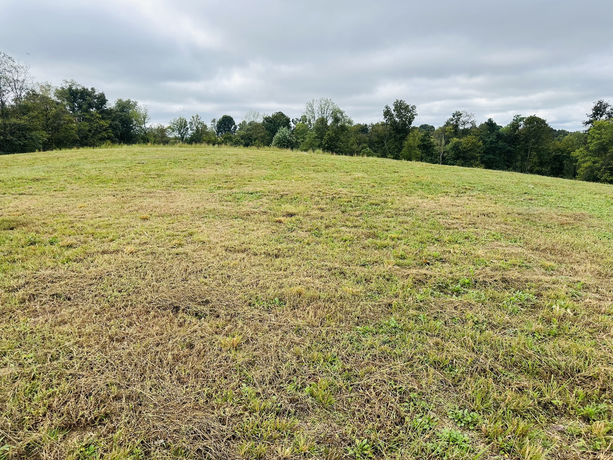 7 Annie Hollow Road Westmoreland, TN 37186 - Photo 3 of 6 a view of an outdoor space and mountain view