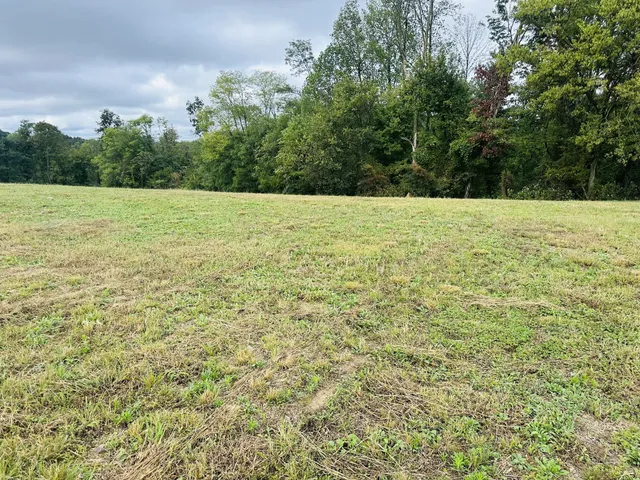 a view of a green field