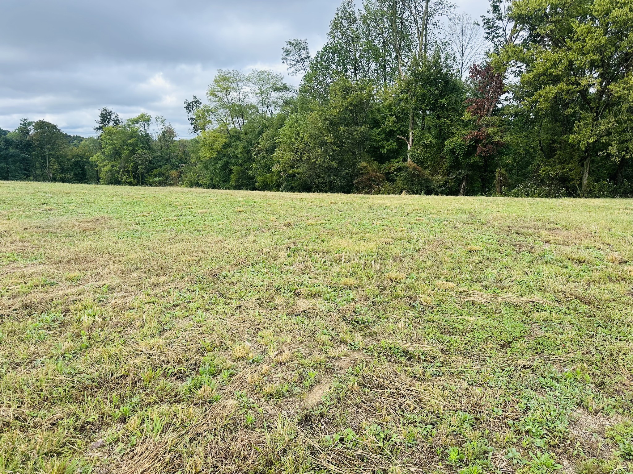 7 Annie Hollow Road Westmoreland, TN 37186 - Photo 4 of 6 a view of a green field