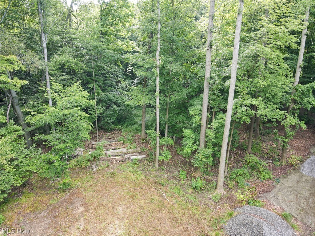 Alexander Road Atwater, OH 44201 - Photo 15 of 21 View of nature