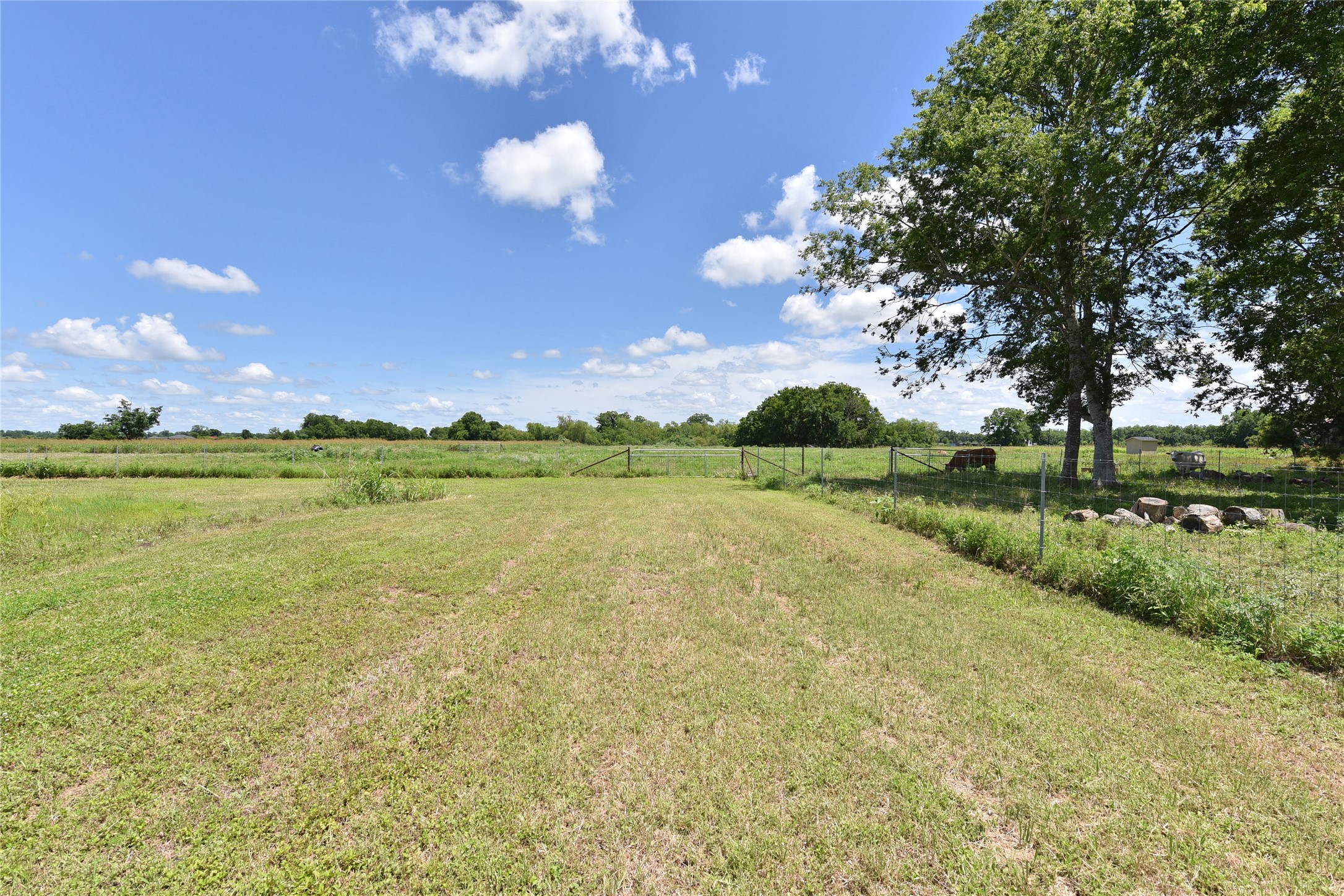 406 County Road 100 Boling, TX 77420 - Photo 49 of 49