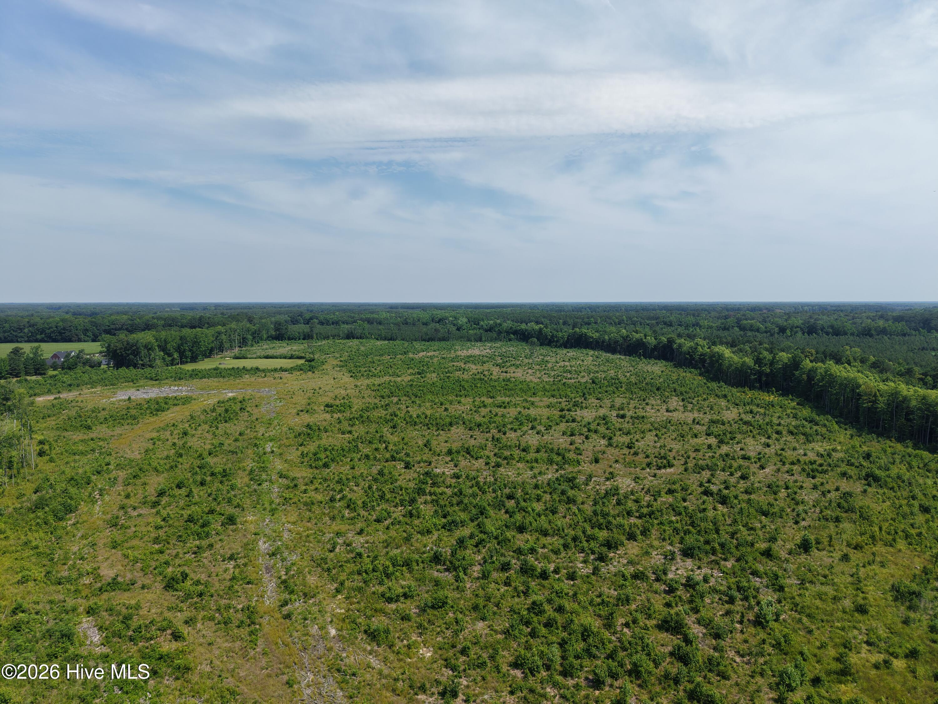 32 North & Amp Corapeake Road Corapeake, NC 27926 - Photo 5 of 17