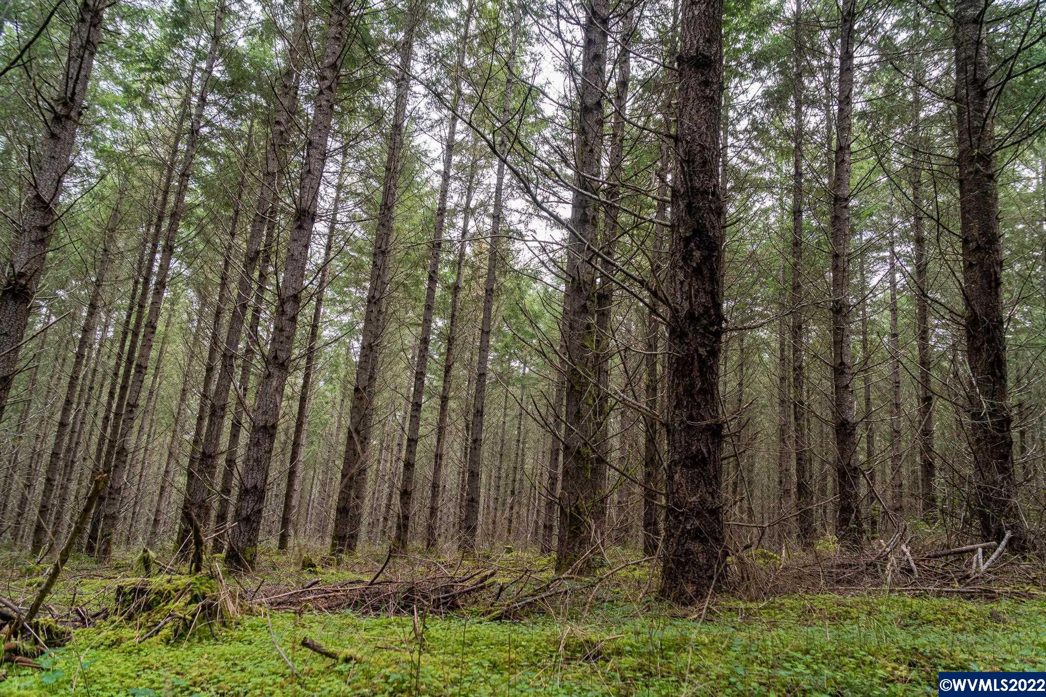 Na Green Peak Road Monroe, OR 97456 - Photo 26 of 26 Gallery Image 26