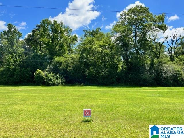 129 Rolling Meadows Lane, Unit 31 Vincent, AL 35178 - Photo 2 of 3