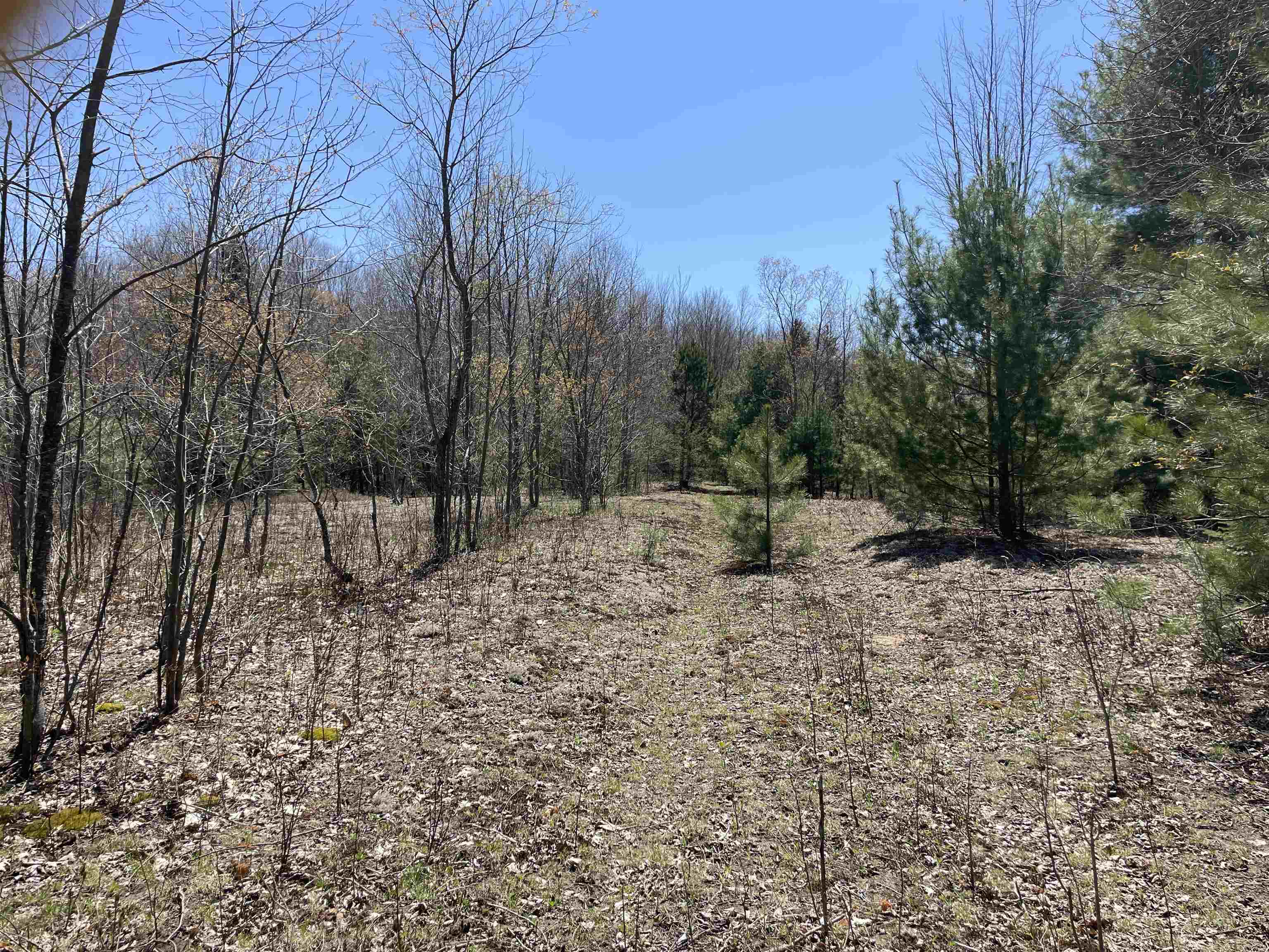 0 East 38 Road Cadillac, MI 49601 - Photo 10 of 39