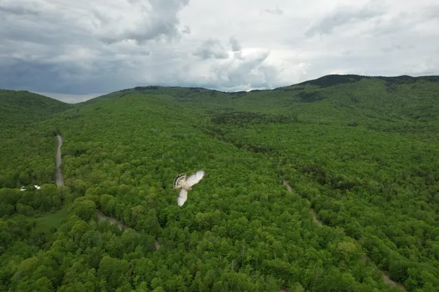 $519,900 | 2401 Long Falls Dam Road, New Portland, ME 04961