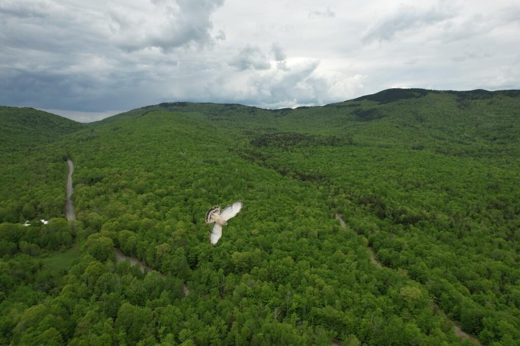 2401 Long Falls Dam Road New Portland, ME 04961 - Photo 2 of 6 02-Photo 2