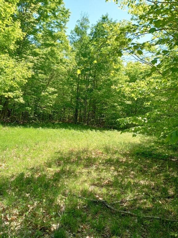 2401 Long Falls Dam Road New Portland, ME 04961 - Photo 3 of 6 03-Photo 3