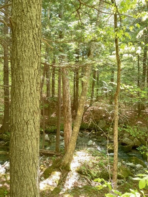 2401 Long Falls Dam Road New Portland, ME 04961 - Photo 4 of 6 04-Photo 4