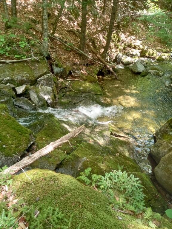 2401 Long Falls Dam Road New Portland, ME 04961 - Photo 5 of 6 05-Photo 5