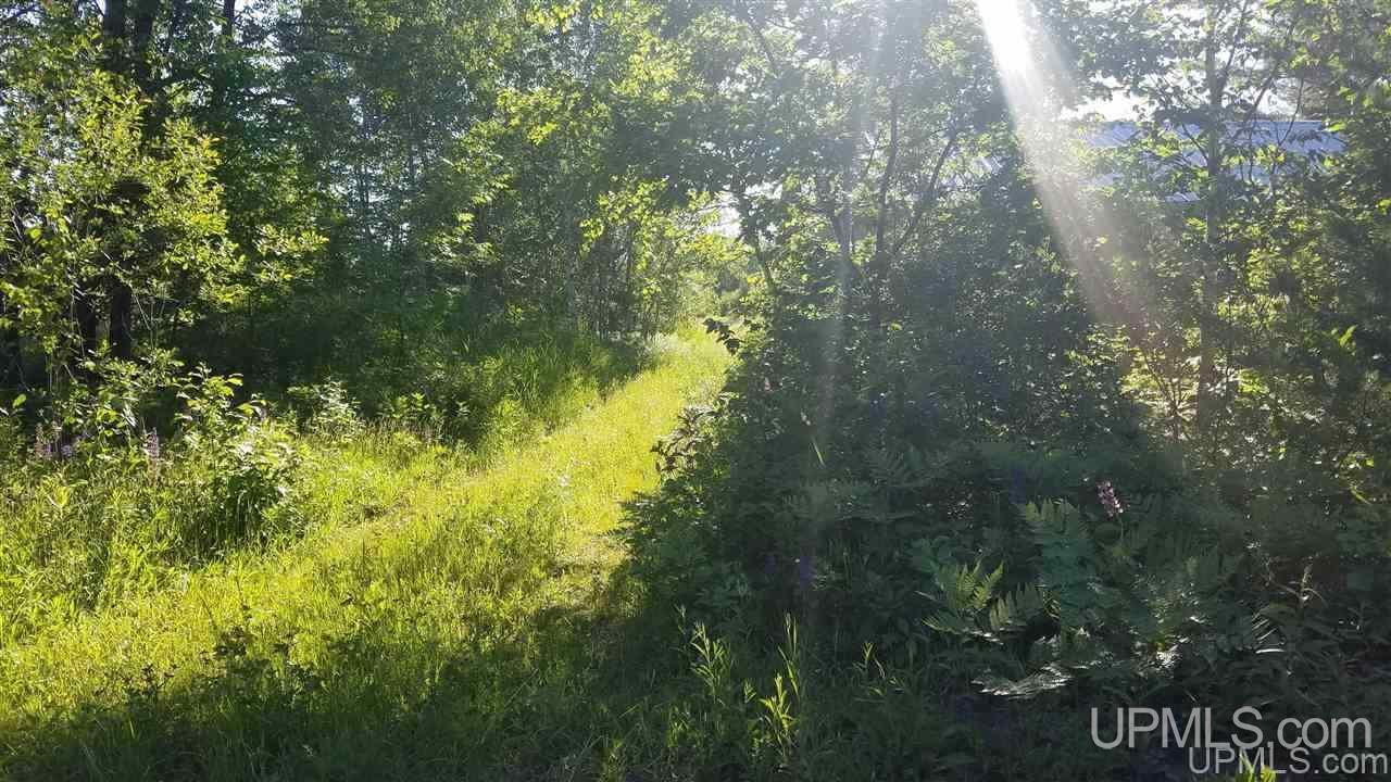 54691 Oikarinen Road Calumet, MI 49913 - Photo 5 of 9